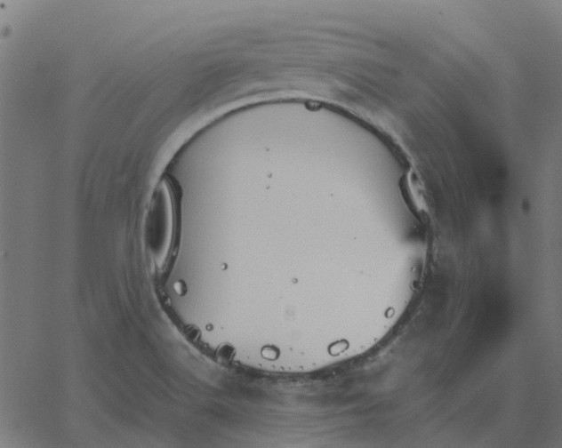 X0000067891516200604271813