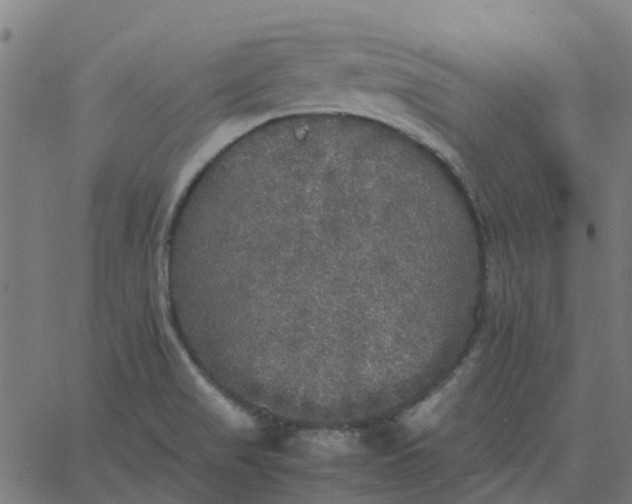 X0000067891517200604271813