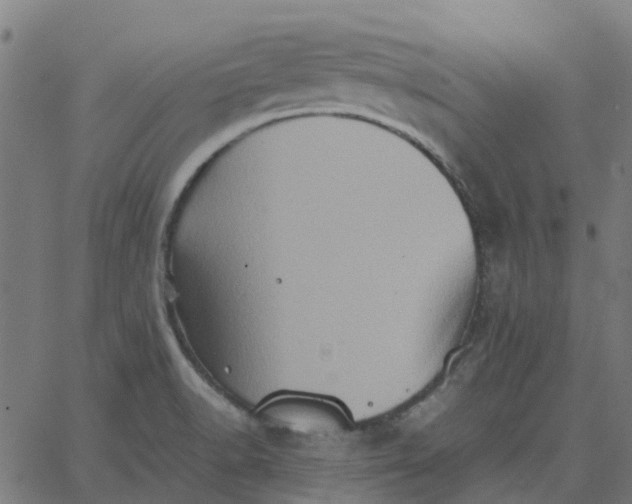 X0000067891518200604271813