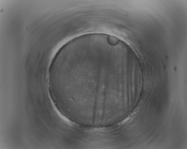 X0000067891519200604271813