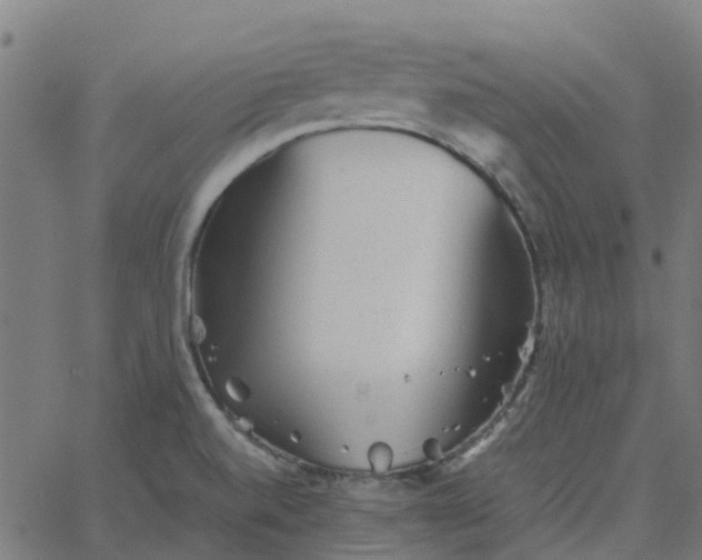 X0000067891520200604271813