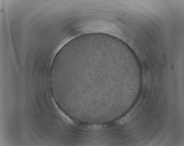 X0000067891521200604271813