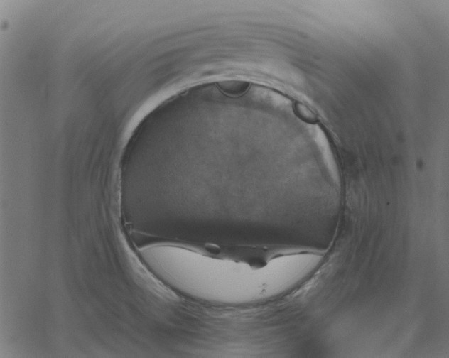 X0000067891522200604271813