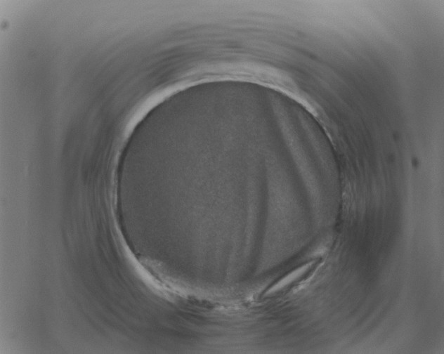 X0000067891523200604271813