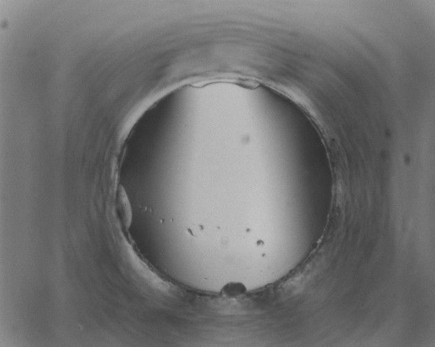 X0000067891524200604271813