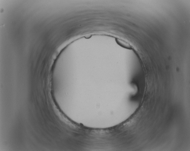 X0000067891526200604271813