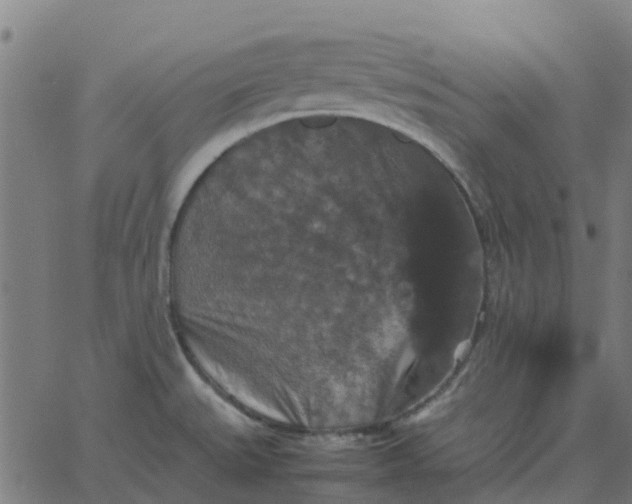 X0000067891527200604271813