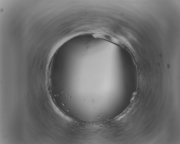 X0000067891528200604271813