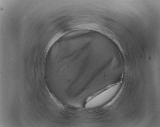 X0000067891529200604271813