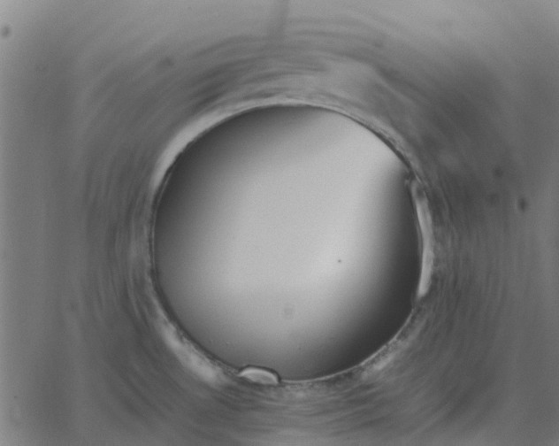 X0000067891530200604271813