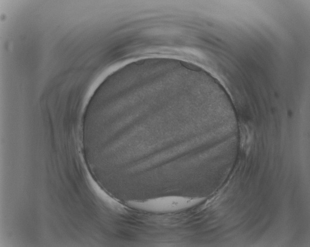 X0000067891531200604271813