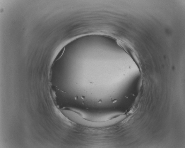 X0000067891532200604271813