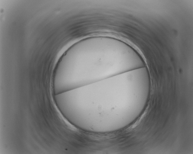 X0000067891533200604271813