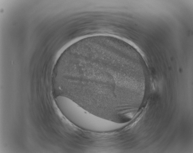 X0000067891534200604271814