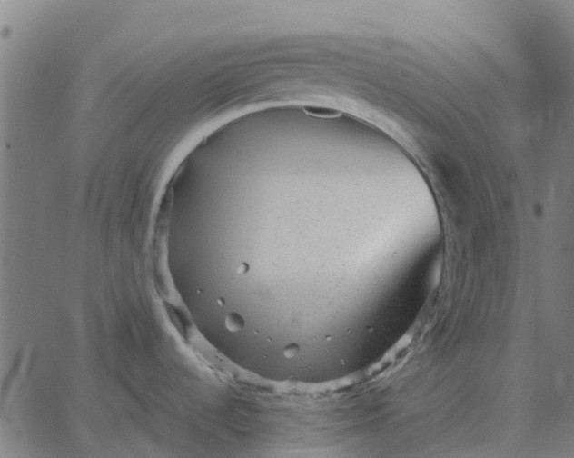 X0000067891536200604271814