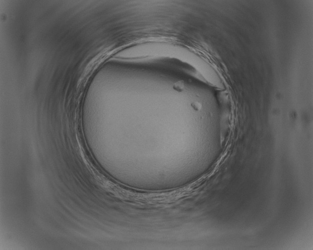 X0000067890001200605041604