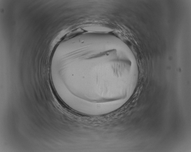 X0000067890003200605041604