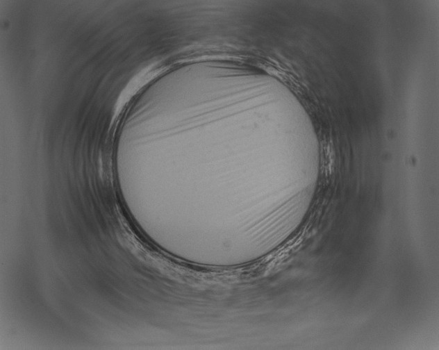 X0000067890004200605041604