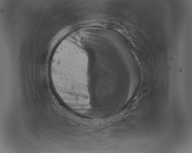 X0000067890006200605041604