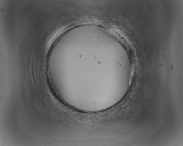 X0000067890007200605041604