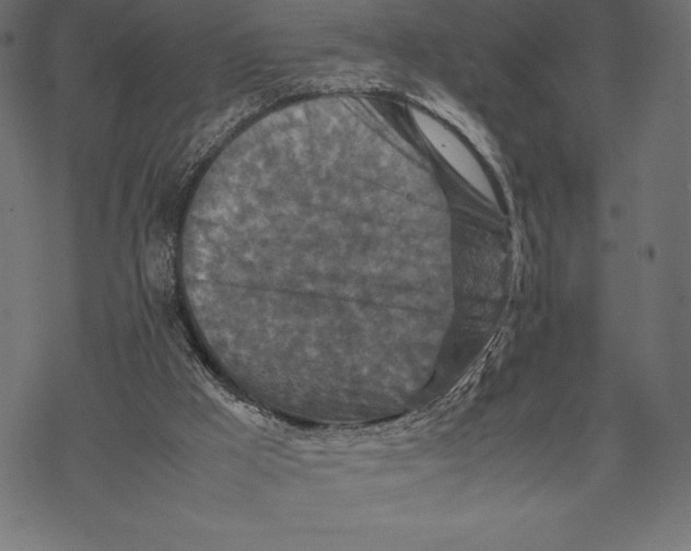 X0000067890009200605041604