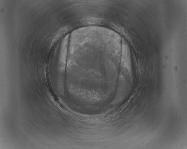 X0000067890010200605041604