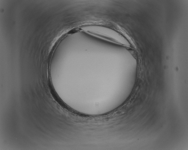 X0000067890011200605041604