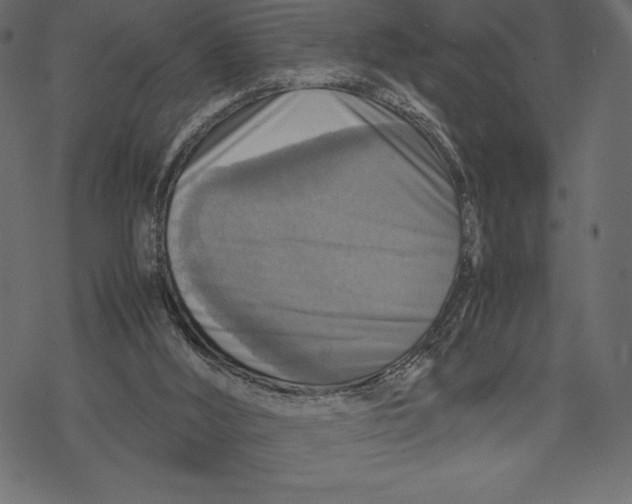 X0000067890012200605041604