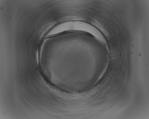 X0000067890014200605041604