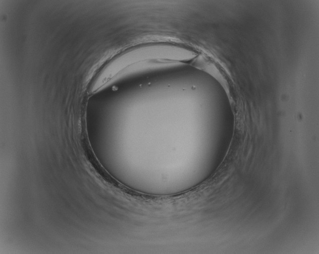 X0000067890015200605041604