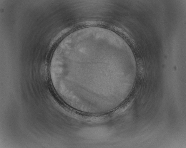 X0000067890016200605041604