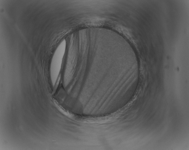 X0000067890017200605041604