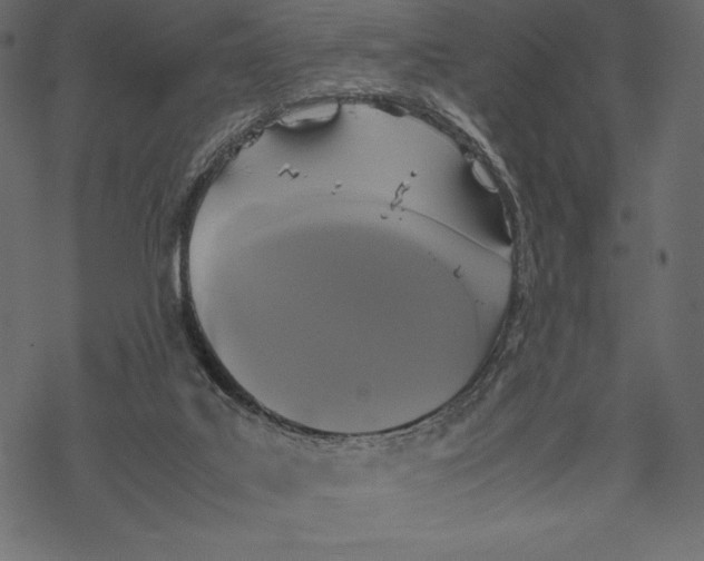 X0000067890019200605041604