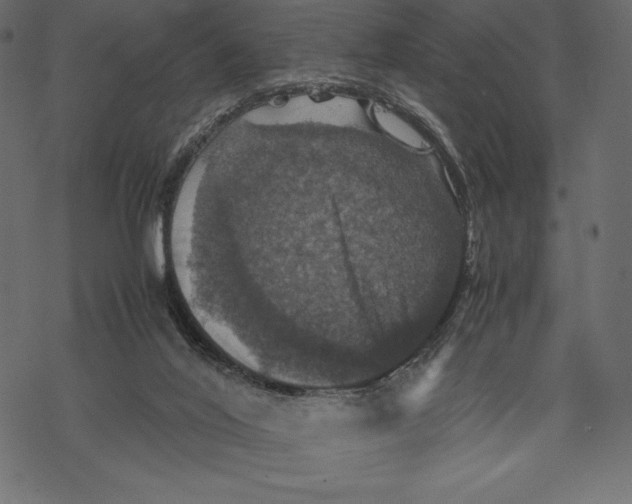 X0000067890020200605041604