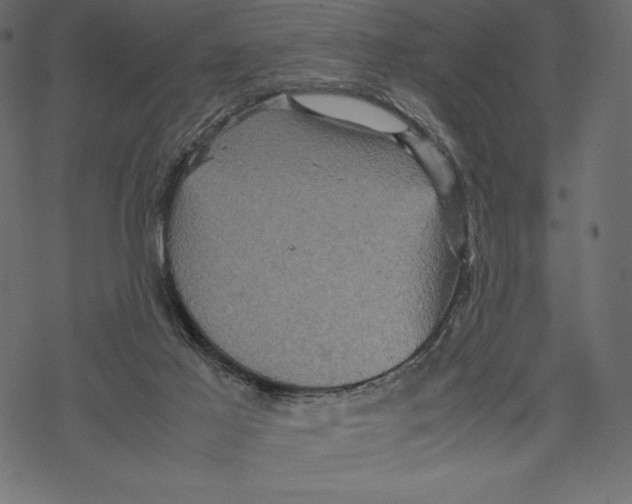 X0000067890021200605041604