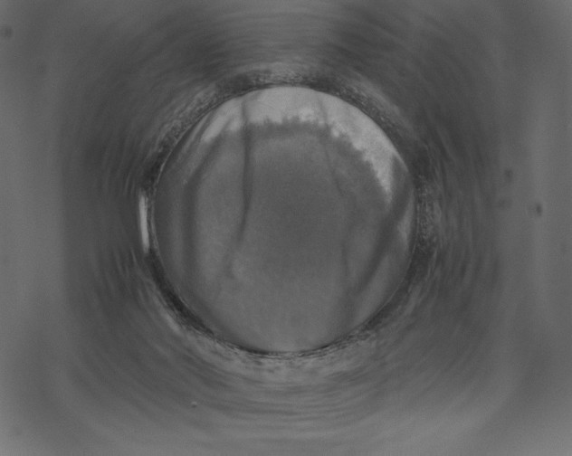 X0000067890022200605041604