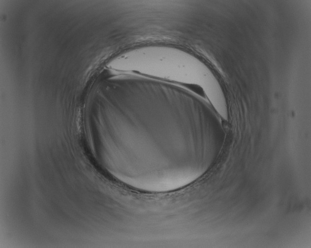 X0000067890023200605041604