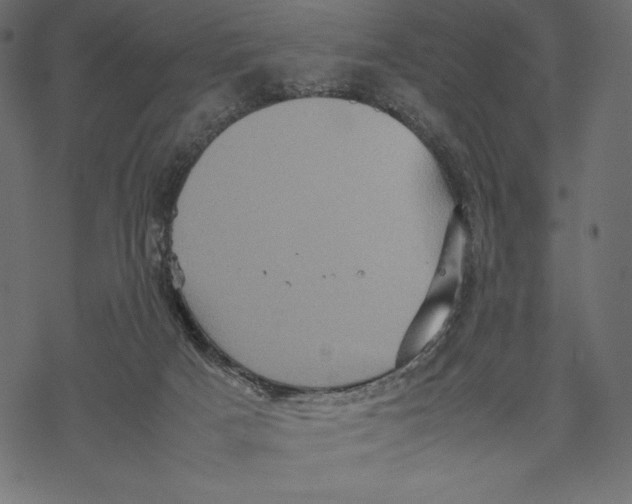 X0000067890025200605041604