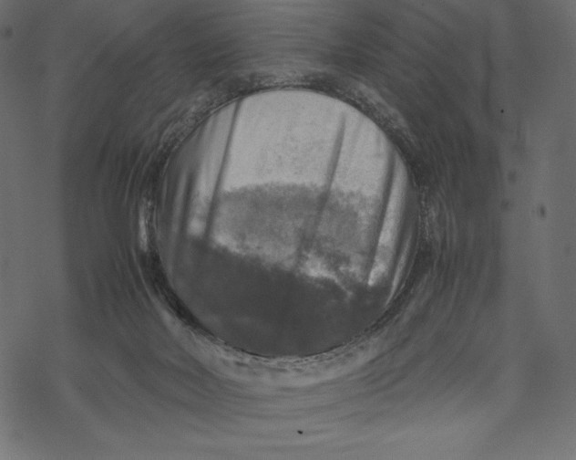 X0000067890026200605041604