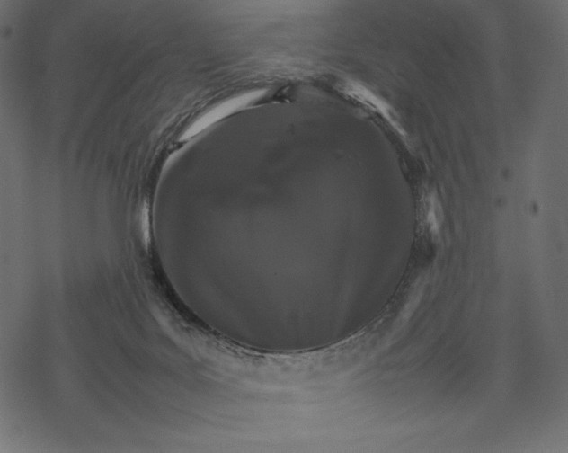 X0000067890027200605041604