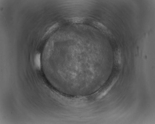 X0000067890028200605041604