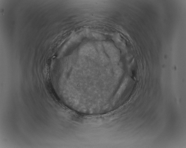 X0000067890029200605041604