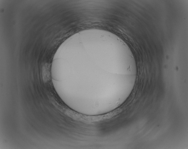 X0000067890030200605041604