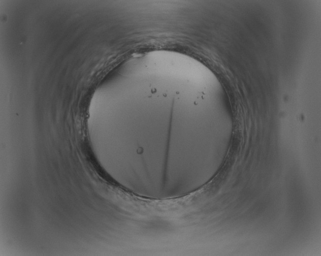 X0000067890031200605041604