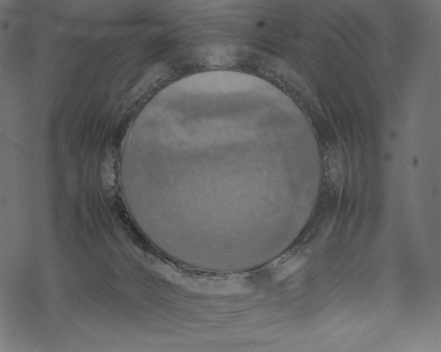 X0000067890032200605041604