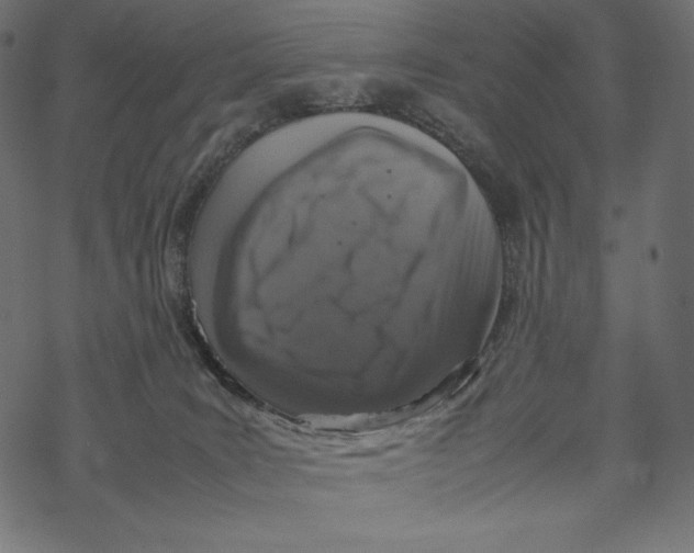 X0000067890035200605041603