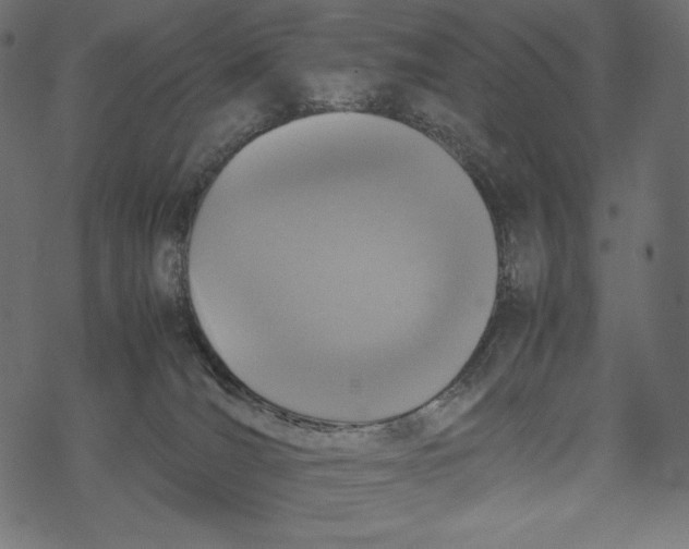 X0000067890036200605041603