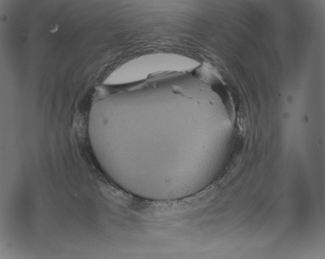 X0000067890037200605041603