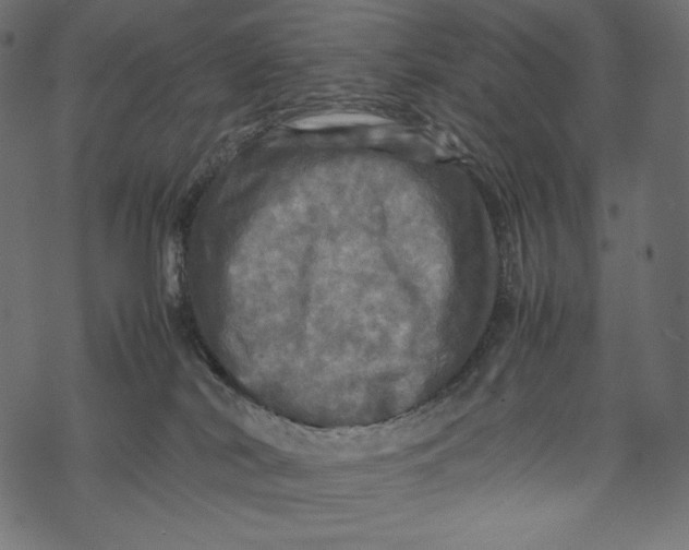 X0000067890038200605041603