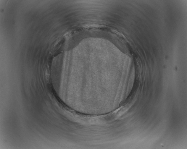 X0000067890040200605041603